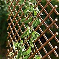 Catral 43040012 Celosía Mimbre Extensible- Mimbre- 150 x 3 x 50 cm